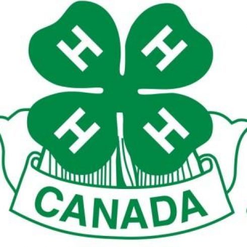A 4-leaf clover logo with an H on each leaf