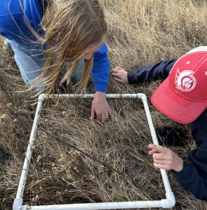 Students practice investigating a habitat and finding species with transects. Photo: Mackenzie Mrazik